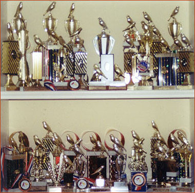 Awards and trophies earned by Fonti Red Factor canaries